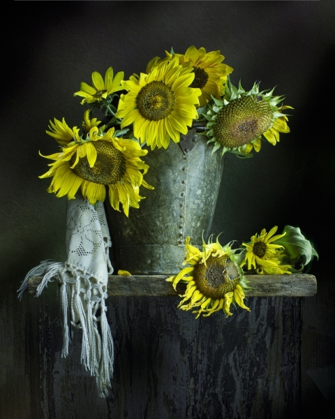 sewing-machinesunflowers-in-bucket-318-Edit-Edit